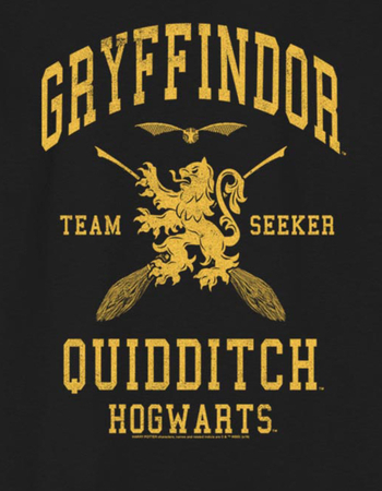 HARRY POTTER Quidditch Seeker Unisex Kids Tee
