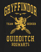 HARRY POTTER Quidditch Seeker Unisex Kids Tee image number 2