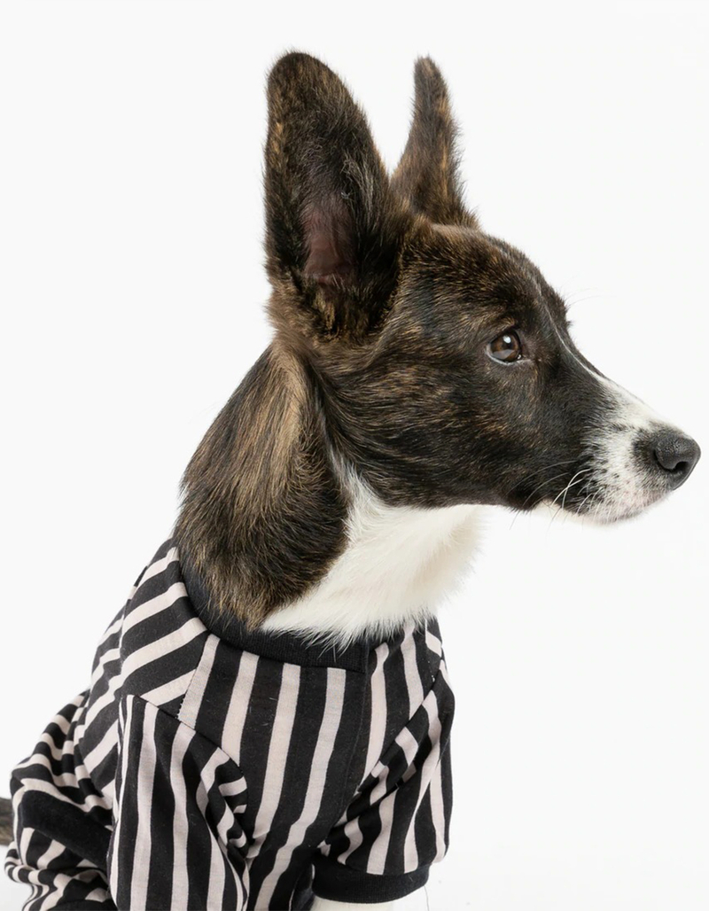 SILVER PAW Basic Stripe Dog Pajamas image number 4