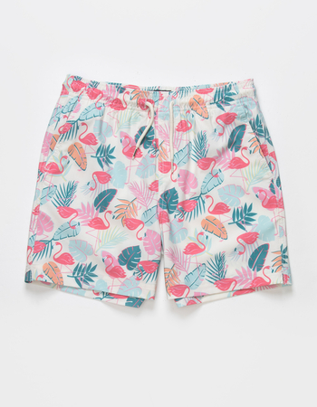 RSQ Boys Friendly Flamingo 5" Swim Shorts