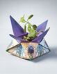 MODERN SPROUT Cosmic Seed Kit - Air Snapdragon image number 2
