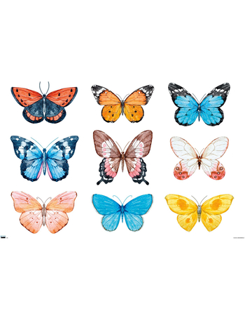 Water Color Butterflies Poster