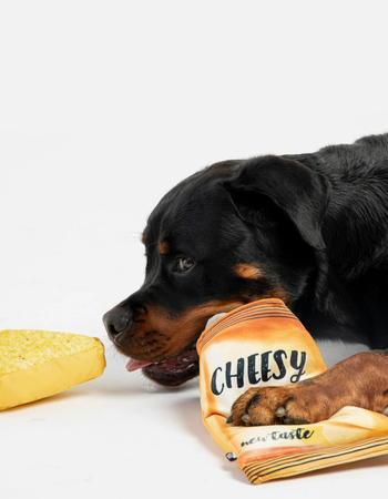 SILVER PAW Cheesy Tortilla Dog Play Toy