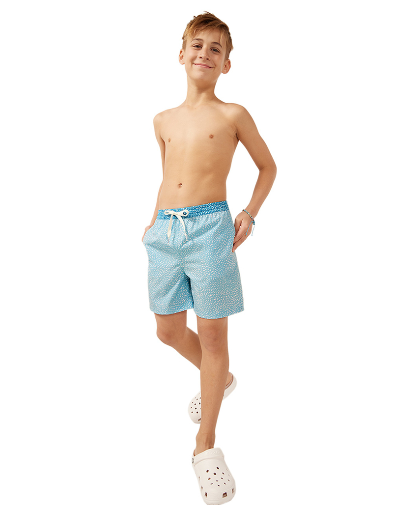 CHUBBIES Whale Sharks Boys 5.5'' Volley Shorts image number 6