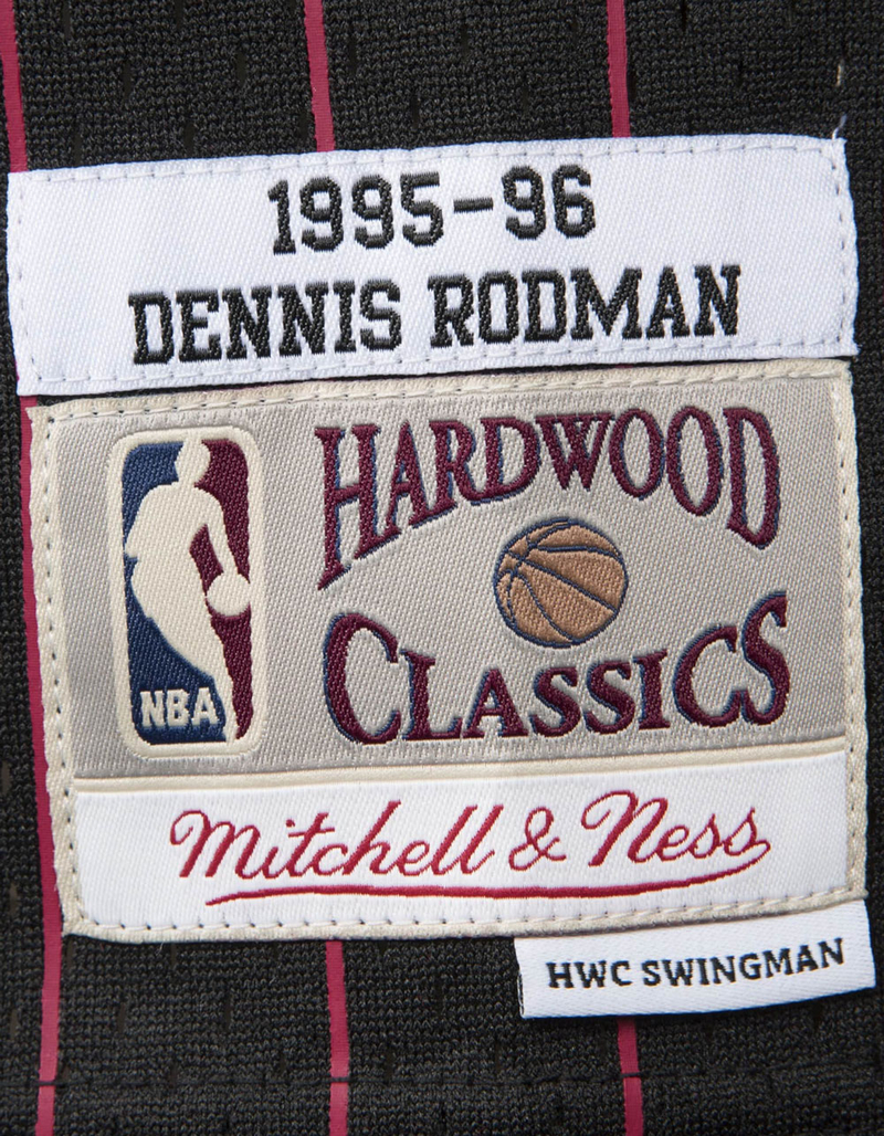 MITCHELL & NESS Swingman 1995-96 Chicago Bulls Alternate Dennis Rodman Jersey image number 2