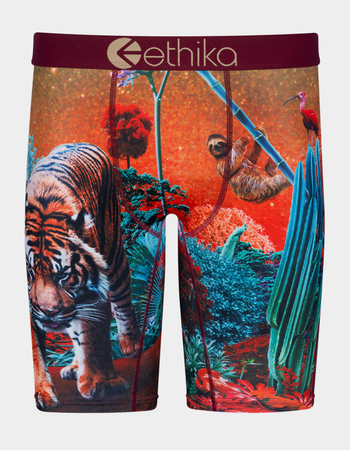 ETHIKA Forest Tiger Staple Boys Boxer Briefs Primary Image