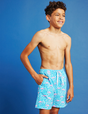 CHUBBIES The Domingos Are For Flamingos Boys 5.5'' Volley Shorts