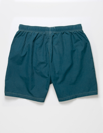 BDG Urban Outfitters Mens Nylon Shorts