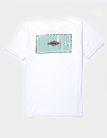 QUIKSILVER Fossilized Boys Tee