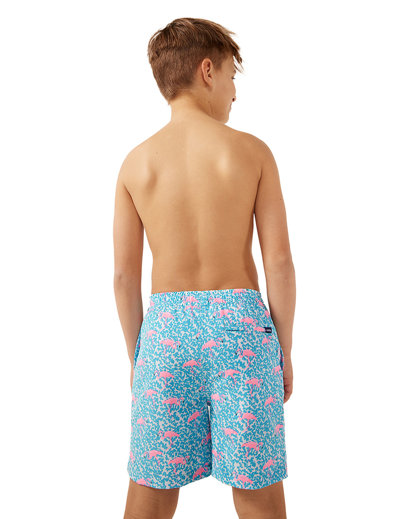 CHUBBIES The Domingos Are For Flamingos Boys 5.5'' Volley Shorts image number 3