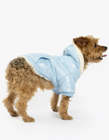SILVER PAW Aspen Dog Jacket