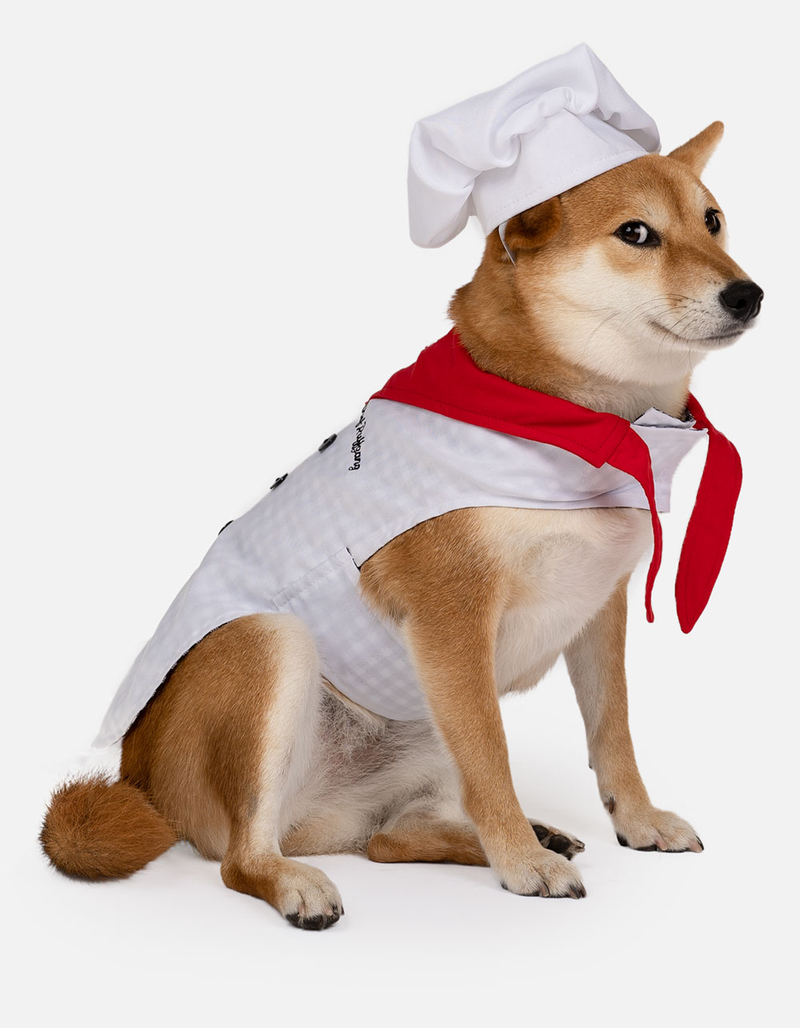 SILVER PAW Chef Costume image number 0