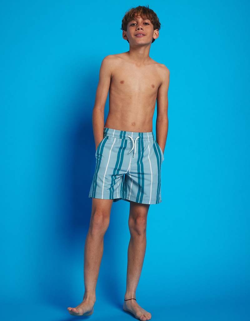 RSQ Boys Vertical Stripe 5'' Swim Shorts image number 0