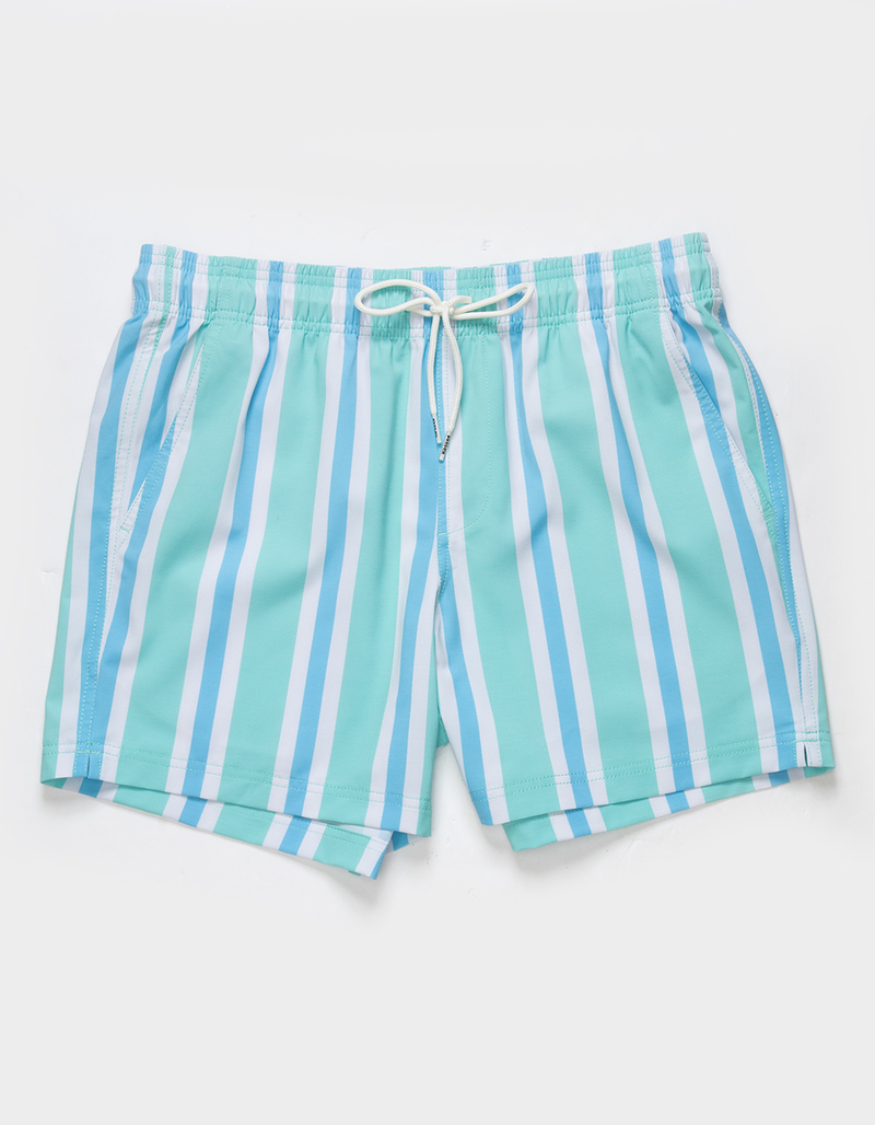 RSQ Mens Vintage Stripe 5'' Swim Shorts image number 1
