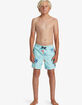 QUIKSILVER Everyday Mix Boys Volley Shorts image number 5