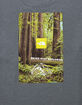 THE NORTH FACE Proud Mens Tee image number 3