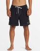 QUIKSILVER Arch Volley Mens 17" Swim Shorts image number 2