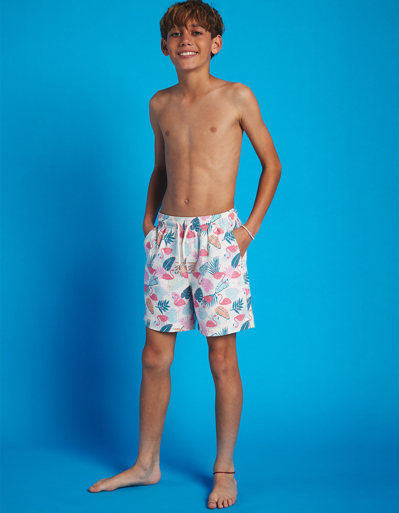 RSQ Boys Friendly Flamingo 5" Swim Shorts image number 0