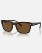 RAY-BAN RB4428 Polarized Sunglasses image number 1