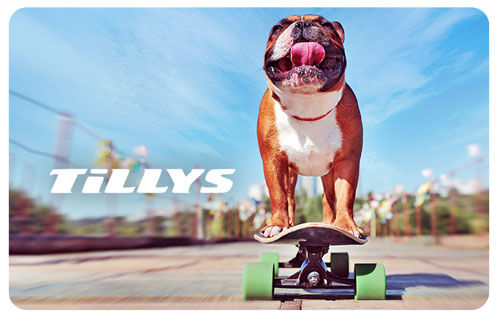 Bulldog riding a longboard Skating Bully