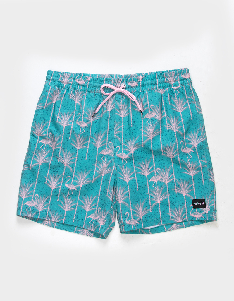HURLEY Cannonball Mens 17'' Volley Shorts image number 0