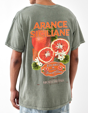 BDG Urban Outfitters Arance Mens Tee