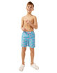 CHUBBIES The Domingos Are For Flamingos Boys 5.5'' Volley Shorts image number 7