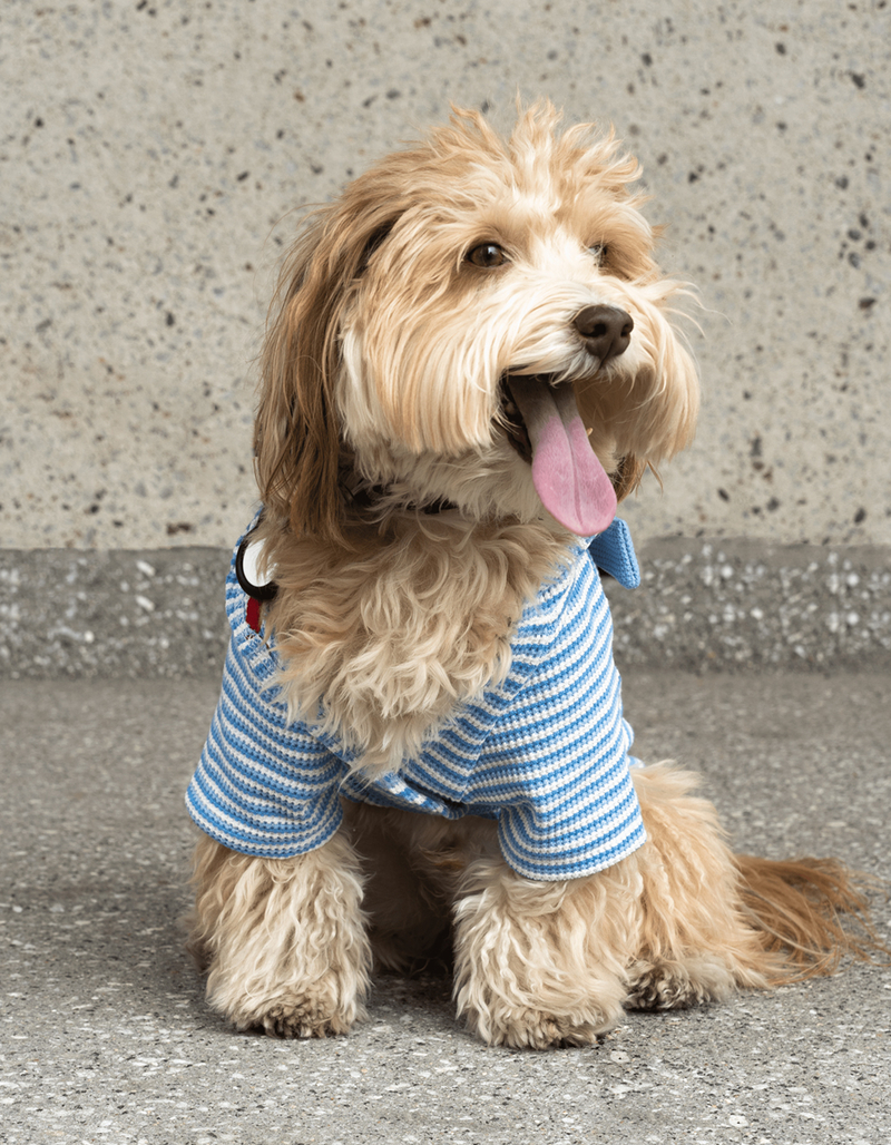 SILVER PAW Rubert Stripe Dog Robe image number 6