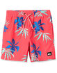 QUIKSILVER Everyday Mix Boys Volley Shorts image number 1