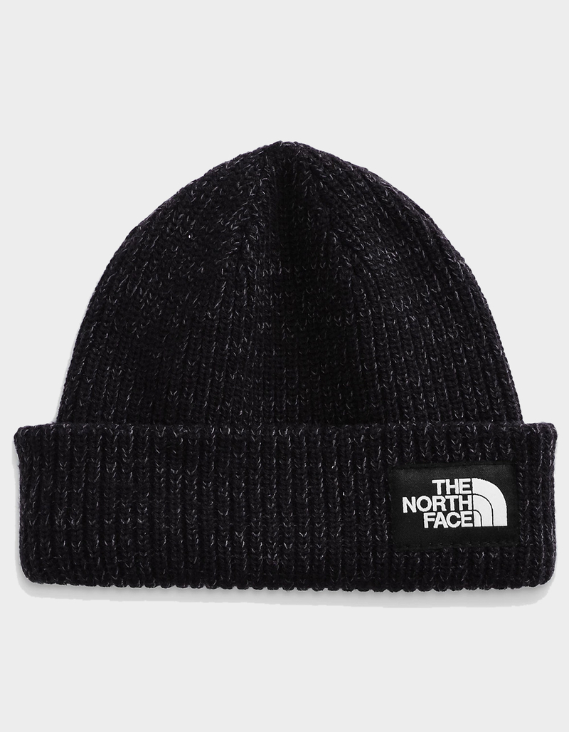 THE NORTH FACE Salty Beanie image number 0