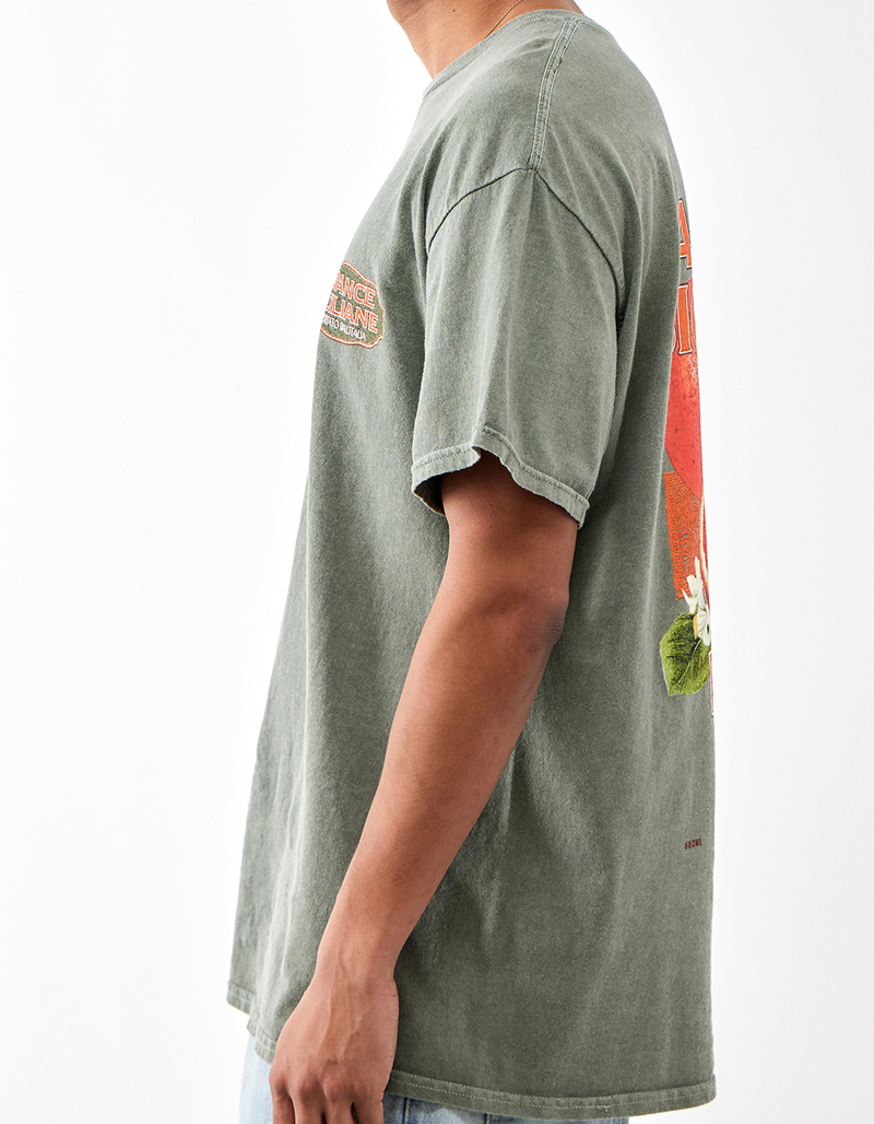 BDG Urban Outfitters Arance Mens Tee image number 3