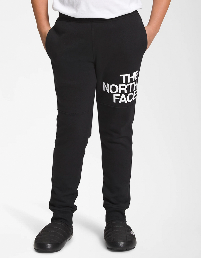 THE NORTH FACE Boys Fleece Pants image number 2
