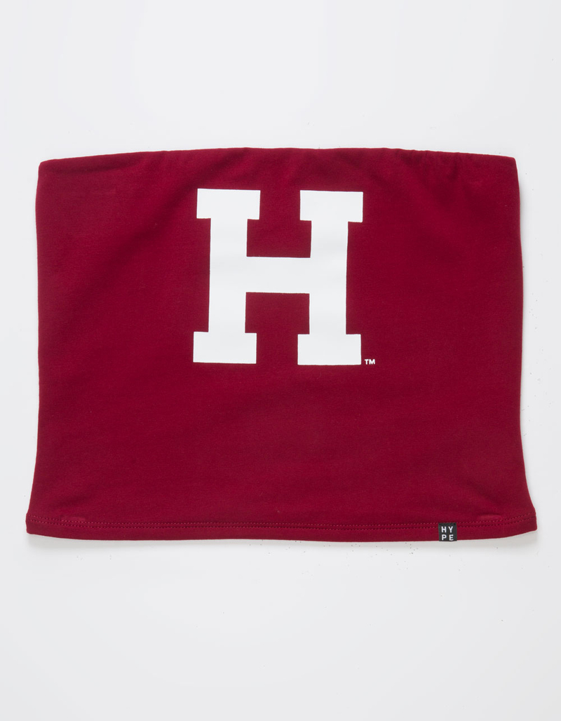 HYPE AND VICE Harvard University Womens Tube Top image number 4