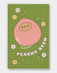 SMOKO Tayto Peach Layflat Notebook image number 1