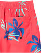 QUIKSILVER Everyday Mix Boys Volley Shorts image number 2