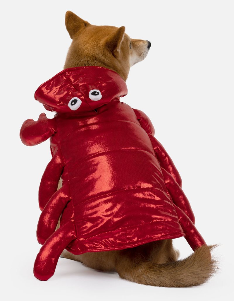 SILVER PAW Lobster Costume image number 0