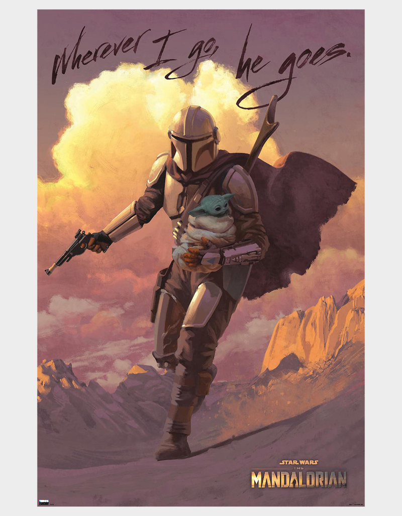 STAR WARS The Mandalorian Protect Poster image number 0