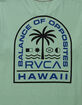 RVCA Tropics Boys Tee image number 3