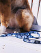 TETHER Dog Collar image number 4