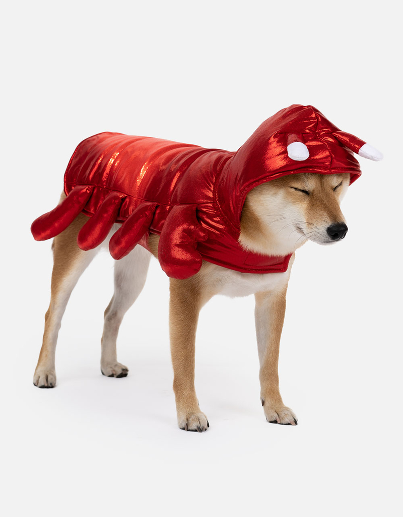 SILVER PAW Lobster Costume image number 4