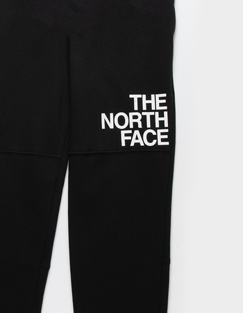 THE NORTH FACE Boys Fleece Pants