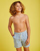RSQ Boys Vertical Stripe 5'' Swim Shorts image number 5