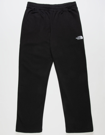 THE NORTH FACE Evolution Straight Leg Mens Sweatpants Primary Image