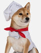 SILVER PAW Chef Costume image number 5