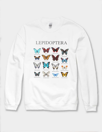 BUTTERFLY Lepidoptera Types Unisex Crewneck Sweatshirt Primary Image