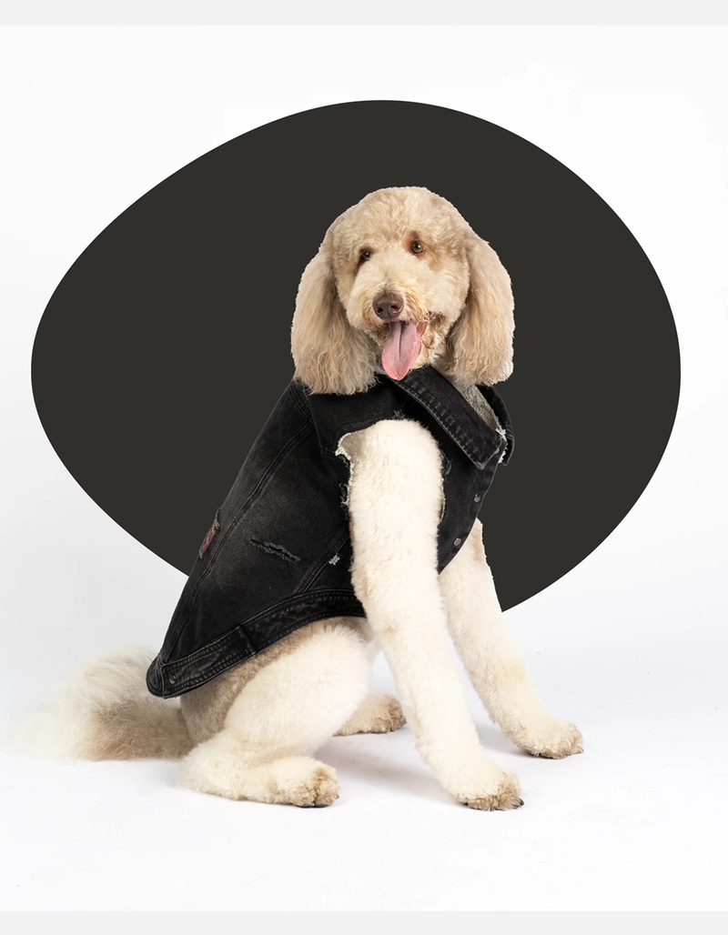 SILVER PAW Spencer Dog Jacket image number 4