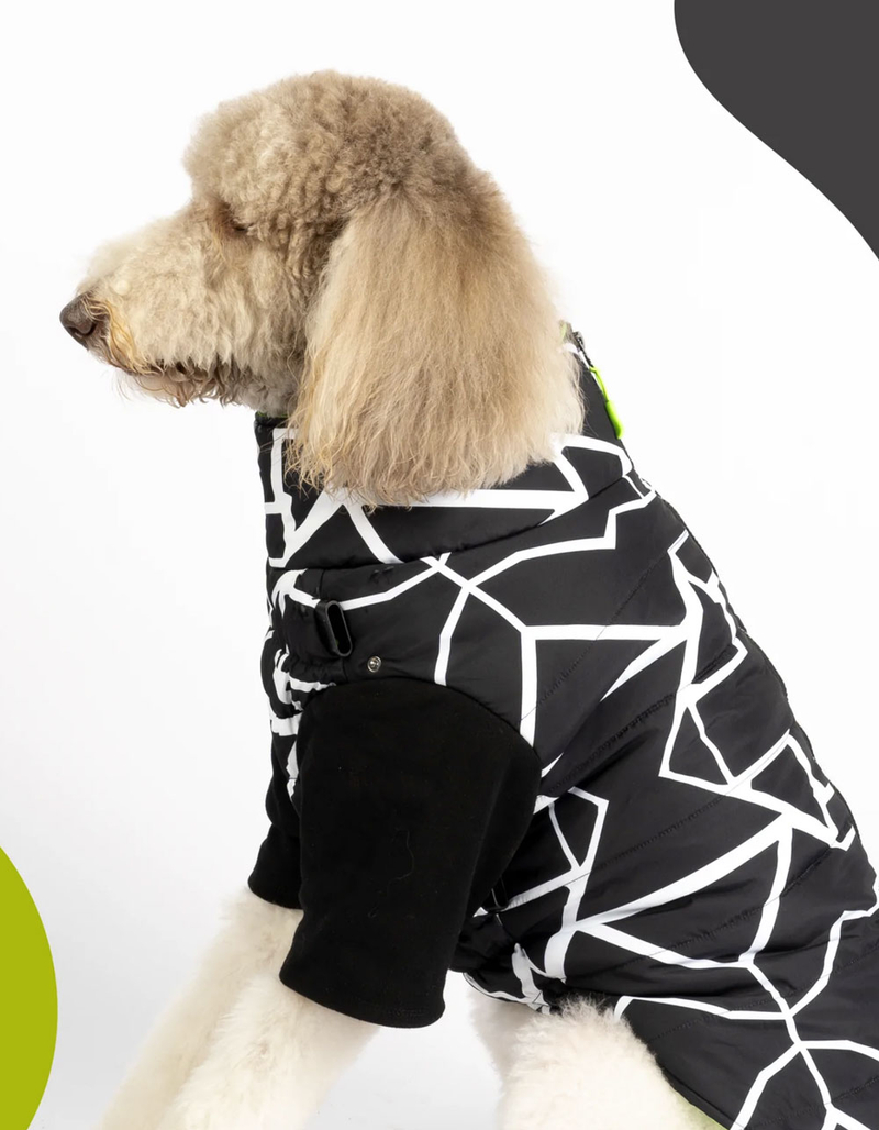 SILVER PAW Fonda Dog Jacket image number 4