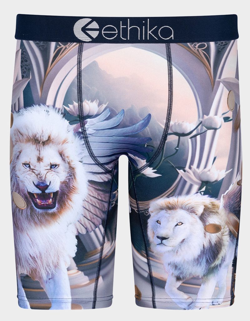 ETHIKA Heavenly Beasts Staple Boys Boxer Briefs image number 0