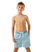 CHUBBIES Whale Sharks Boys 5.5'' Volley Shorts image number 5