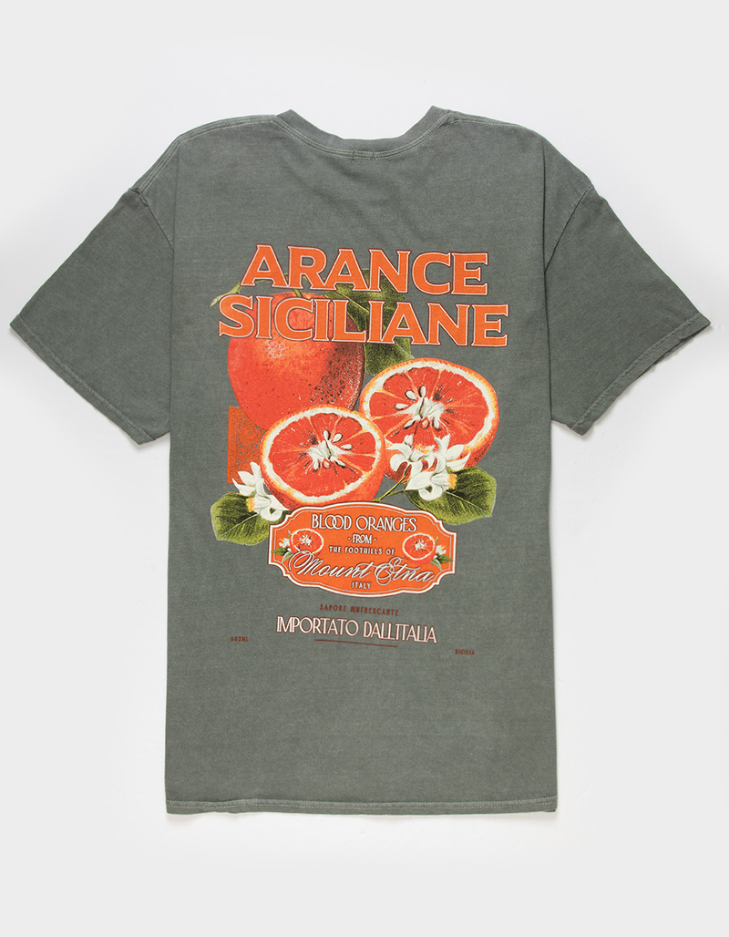 BDG Urban Outfitters Arance Mens Tee image number 4